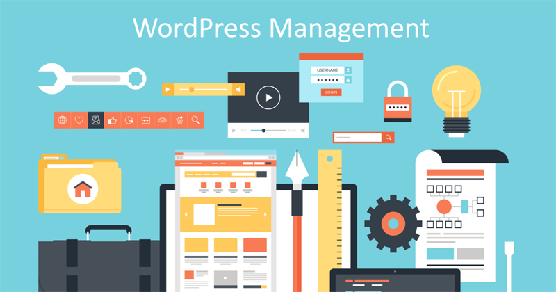 Why You Need WordPress Maintenance